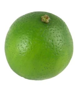 Rogue Lime 6x6x7cm In Green