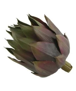 Rogue Artichoke Head 8x8x13cm In Purple