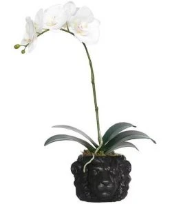 Vicky Yao Exclusive Design Real Touch Artificial Orchid Arrangement In Black Lion Head Pot