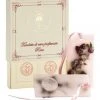 Santa Maria Novella Rose Wax Tablets