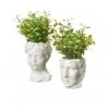 Cooper & Co Artificial Potted Roman Head Plants 25/20cm Set of 2