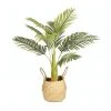 Cooper & Co Artificial Palm In Woven Basket