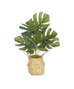 Cooper & Co Artificial Monstera In Woven Basket