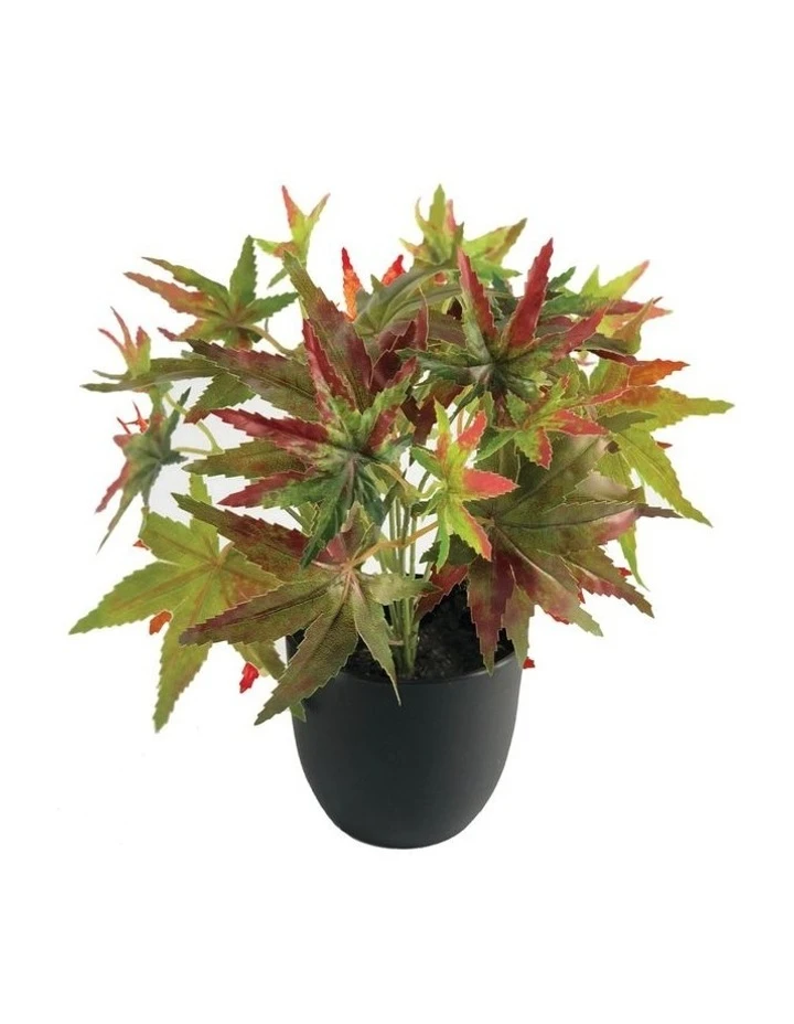 The Shine Nook Sales Store -The Shine Nook Sales Store